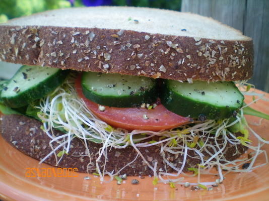 veggie sandwiches a.k.a. veggimiches