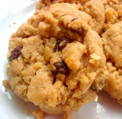 flocons d'avoine au chocolat au beurre d'arachide