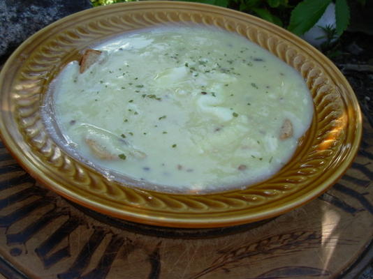 tourain du perigord - soupe a l'ail du perigord