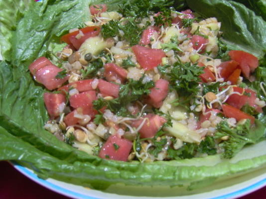 salade de germes de lentilles et de boulgour