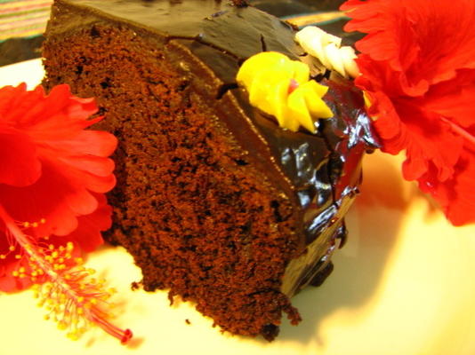 gâteau d'anniversaire du président roosevelt