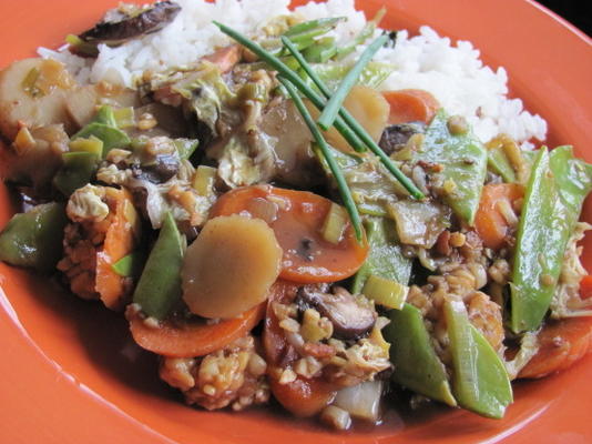 tempeh braisé et légumes chinois