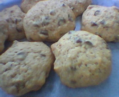 biscuits aux pépites de chocolat sensiblement délicieux