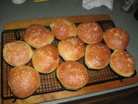 Amish Sourdough Bread/Starter