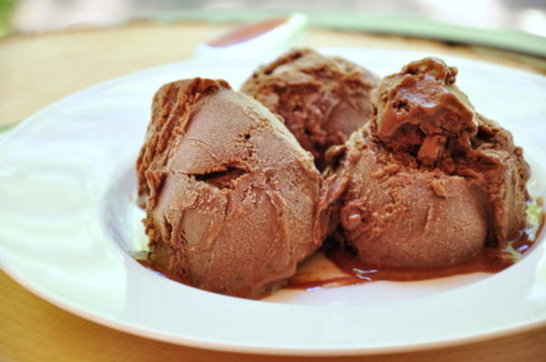 glace au chocolat sans sorbetière