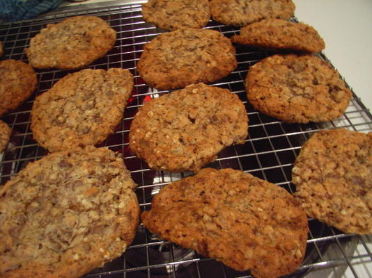 biscuits à l'avoine à la noix de pécan d'abricot moelleux préféré de famille