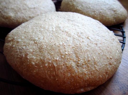 pain tous les jours! boule pétrie