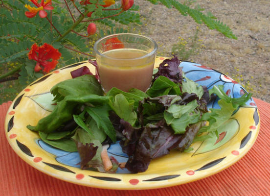 prêt pour la vinaigrette framboise d'été