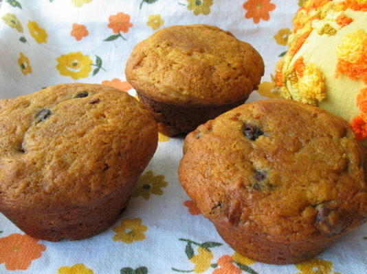 muffins aux raisins enrobés de chocolat citrouille