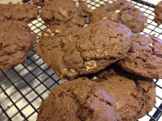 andes double biscuits aux pépites de chocolat à la menthe