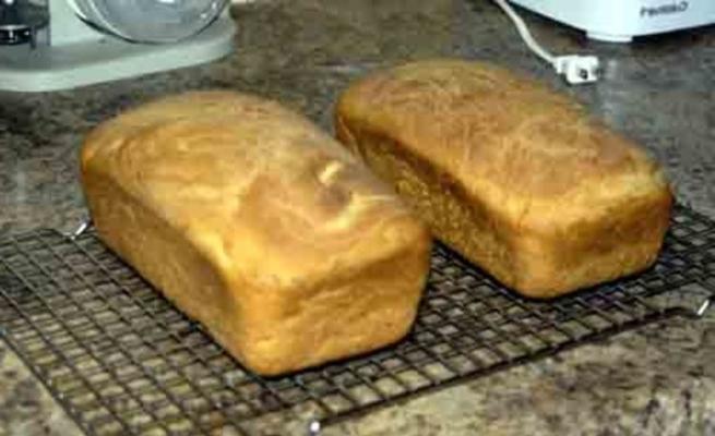 pain de blé (2 pains)