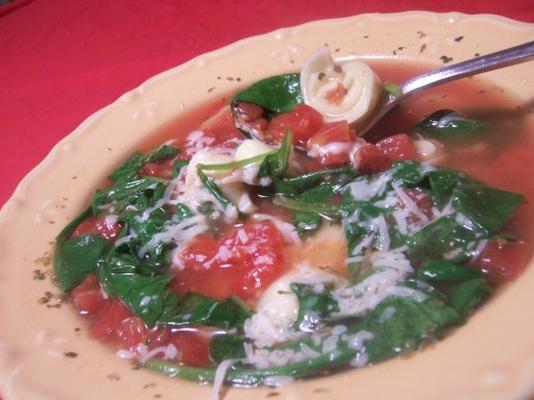 tortellini w / soupe aux épinards