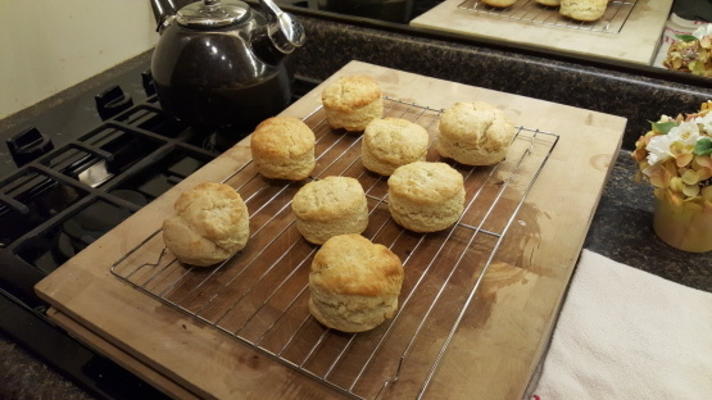 biscuits de robot de cuisine rapide