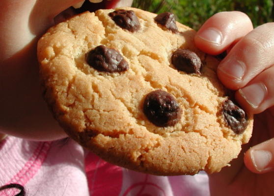 nicky cookies aux pépites de chocolat