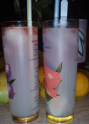 limonade litchi et cocktails à la noix de coco