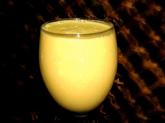 le fou de mangue des Caraïbes