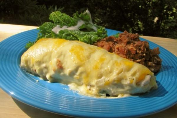 20 min. enchiladas de poulet à la crème sure