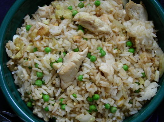 riz frit au poulet à la coupe courte (oamc)