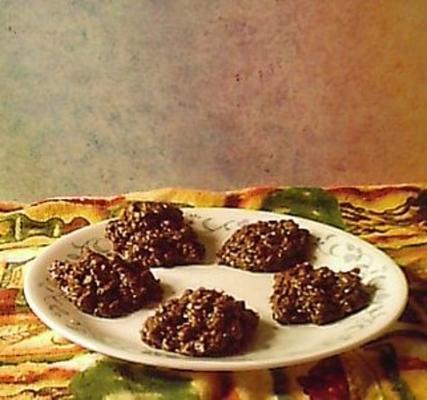 Mme. biscuits au chocolat sans cuisson de mckenzie