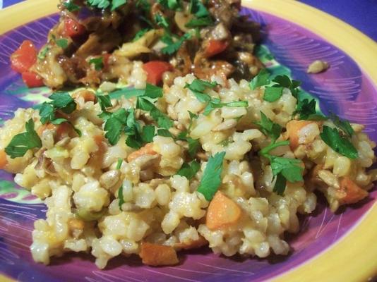 meilleur repas de riz brun