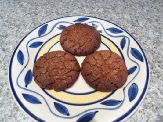 biscuits au chocolat simples