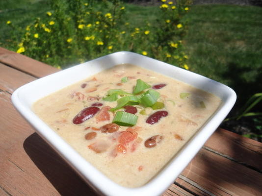 soupe aux noix de coco et aux haricots