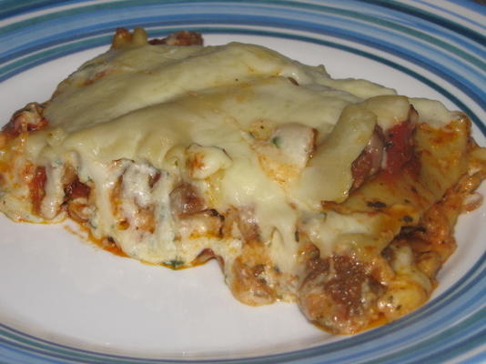 encore une autre recette de lasagne ...