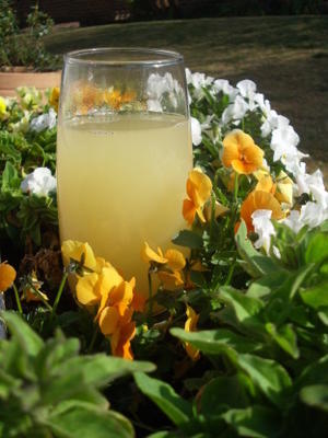 eau de citron d'orge rafraîchissante