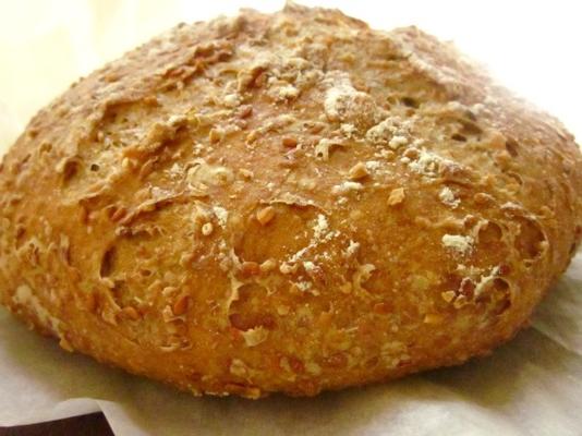 pain de blé entier sans pétrir avec graines de lin et avoine