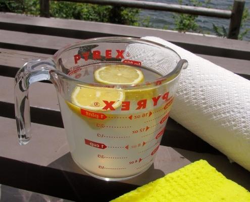 nettoyant micro-ondes facile