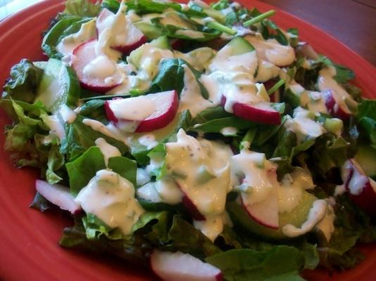 salade de légumes verts, cukes et radis avec vinaigrette crémeuse