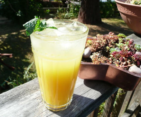 refroidisseur menthe-orangeade