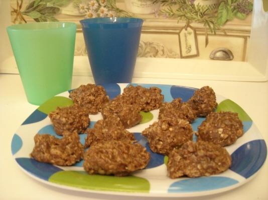biscuits à l'avoine au chocolat (sans cuisson)