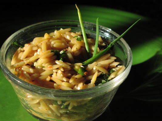 orzo oriental épicé