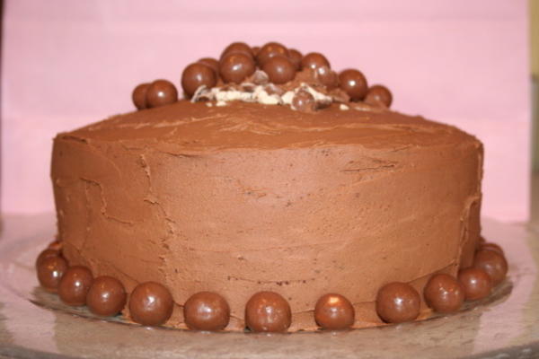 gâteau au chocolat profond avec garniture au double malt