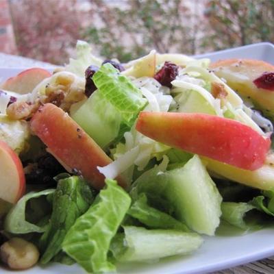 salade de fruits d'hiver avec vinaigrette au pavot et au citron