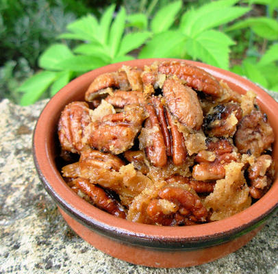 chili pacanes d'aisha (cajun)