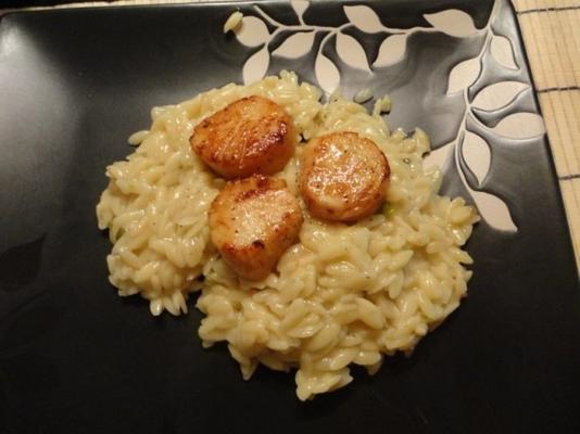 pétoncles poêlés ou crevettes avec risotto à l'orzo