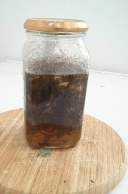 gelée de menthe du jardin avec un soupçon d'ail
