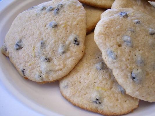 biscuits au citron et aux raisins de martha stewart