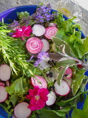 salade d'elizabethan aux herbes et fleurs anglaises avec vinaigrette au miel