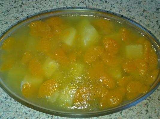 salade de gélatine de soleil tropical