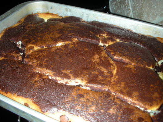 gâteau au chocolat et pépites de chocolat