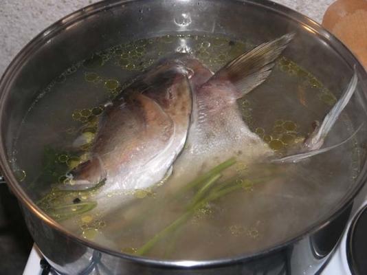 poisson bouilli croate (et soupe)