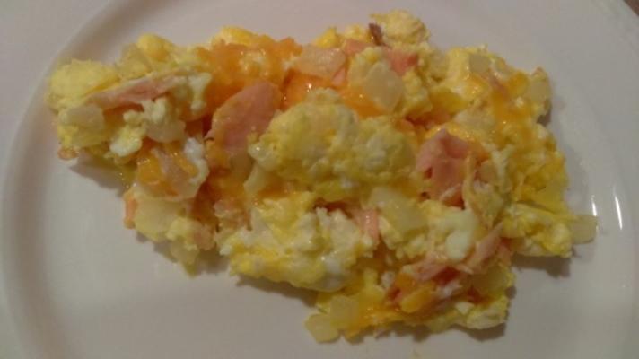 omelette lox et oignon