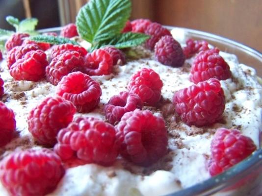 vieux gâteau façonné et bagatelle à la framboise