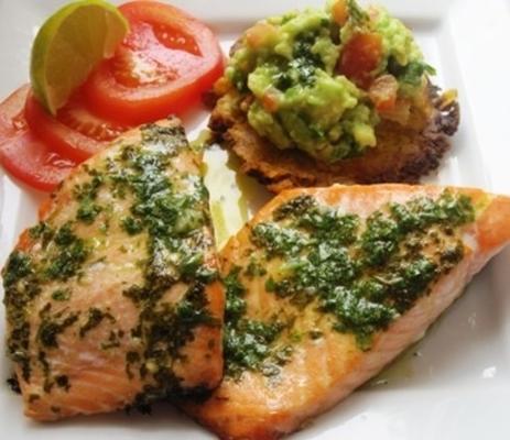 lime coriandre saumon