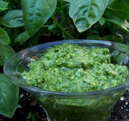 pesto au basilic et à la roquette