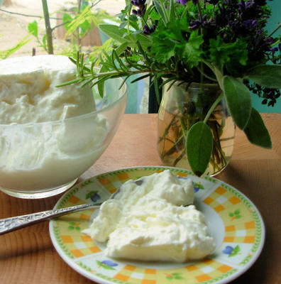 fromage de yaourt (labna)