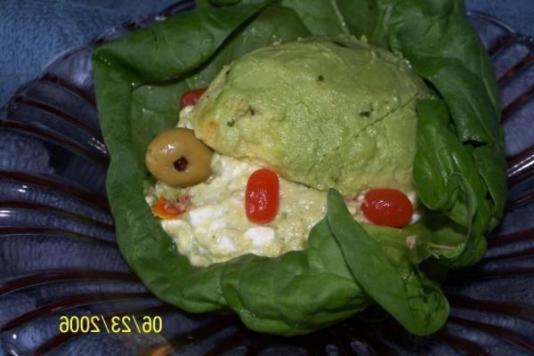 salade de carapace de tortue